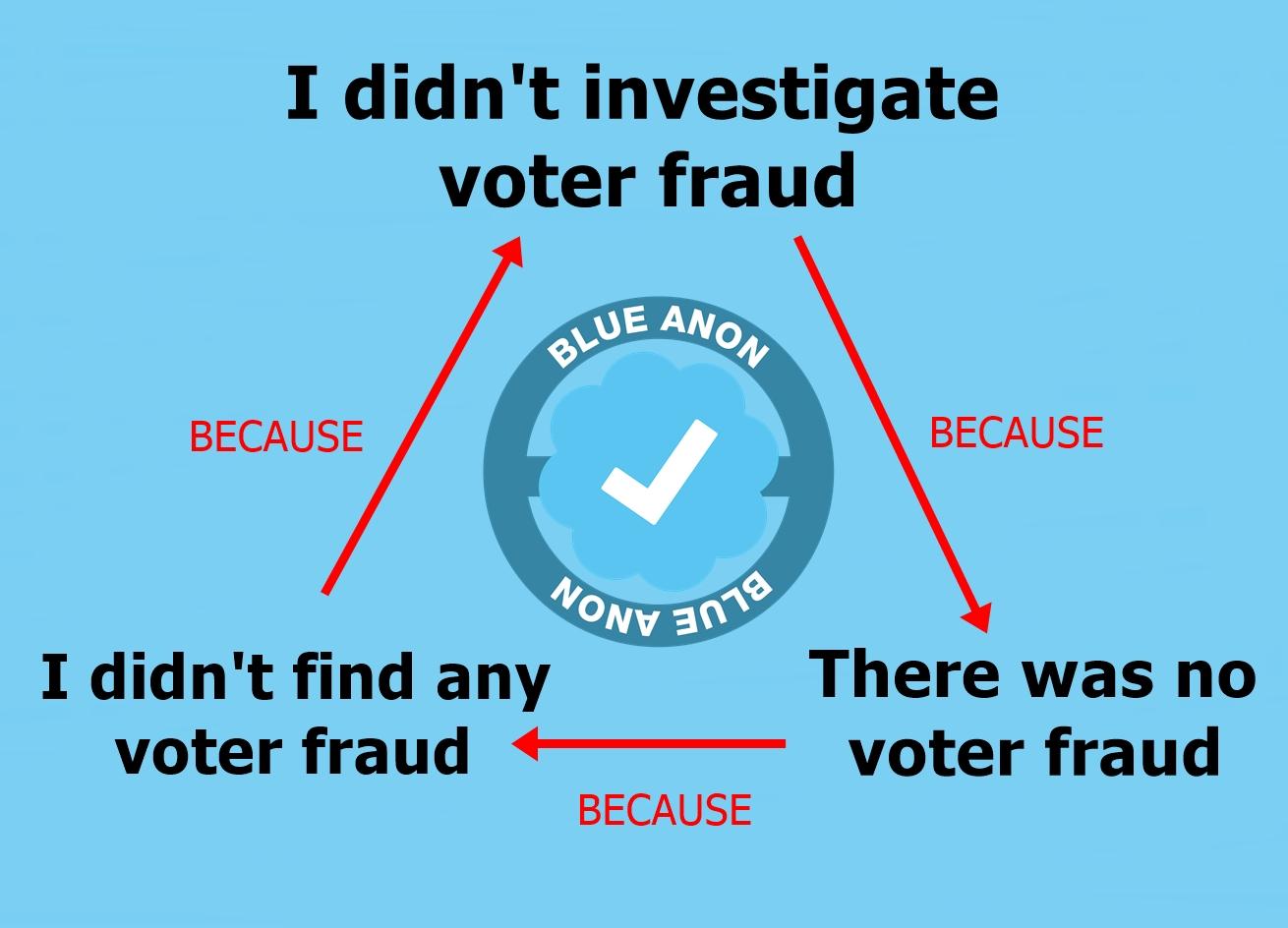 steal-fraud-voter.jpeg