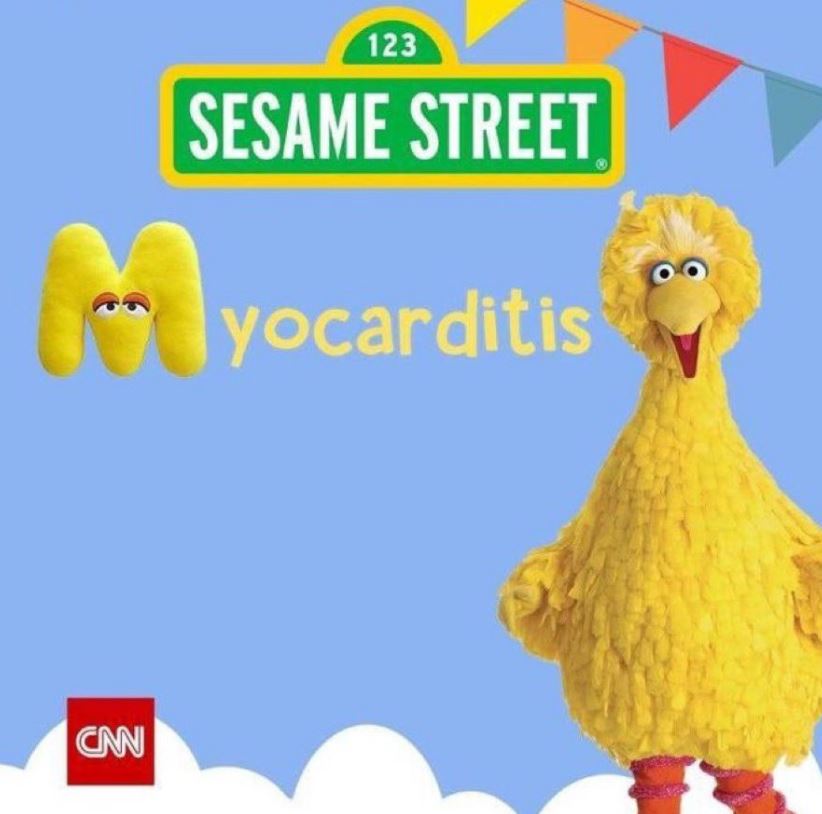 big bird CITIZEN FREE PRESS