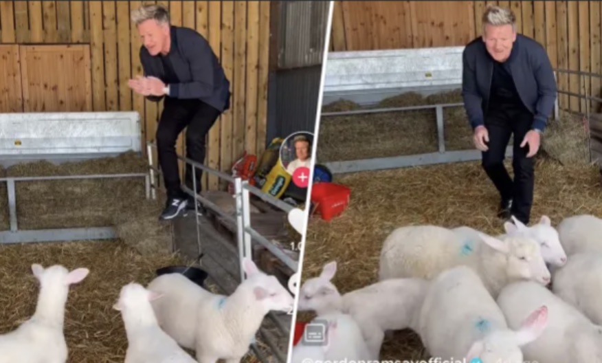 Gordon Ramsay video goes viral…