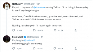 catturd – CITIZEN FREE PRESS