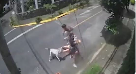 Pit Bull Citizen Free Press