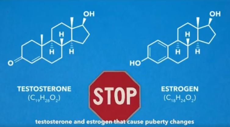 Puberty Blockers 2 – CITIZEN FREE PRESS