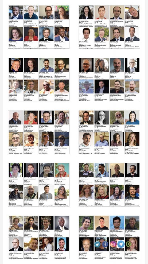 Vaccine death chart CITIZEN FREE PRESS